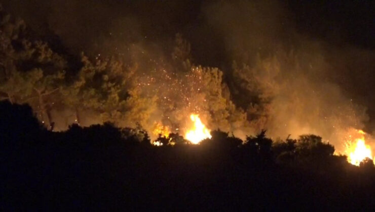 Tekirdağ ormanları alevler içinde yanmaya devam ediyor: Müdahale sürüyor