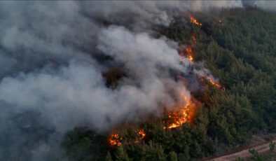 Tekirdağ yangını söndürüldü mü? 16 Temmuz 2025 Tekirdağ yangını son durum…
