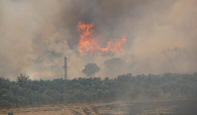 Tekirdağ’da anız yangını paniği: Alevler ormana sıçradı