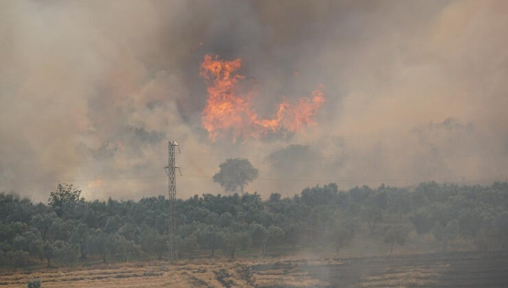 Tekirdağ’da anız yangını paniği: Alevler ormana sıçradı