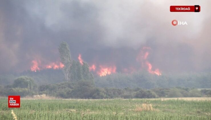 Tekirdağ’da başlayarak Çanakkale’ye ulaşan yangın yine alevlendi