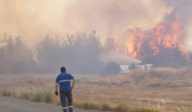 Tekirdağ’da çıkan orman yangını denetim altında