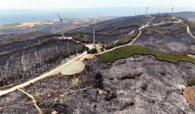 Tekirdağ’da çıkan orman yangını denetim altında: Ziyan gören alanlar havadan görüntülendi