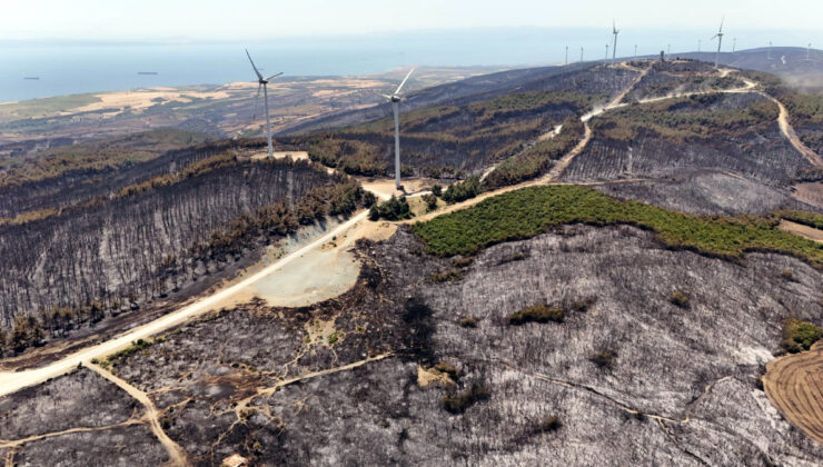 Tekirdağ’da çıkan orman yangını denetim altında: Ziyan gören alanlar havadan görüntülendi
