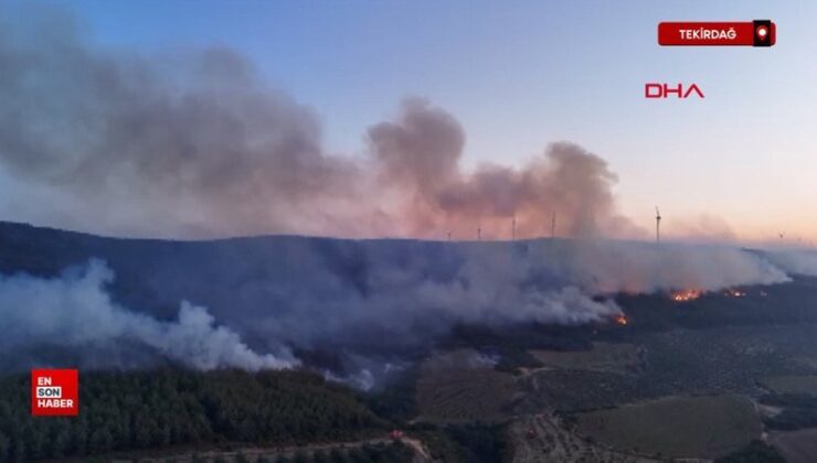 Tekirdağ’da orman yangını