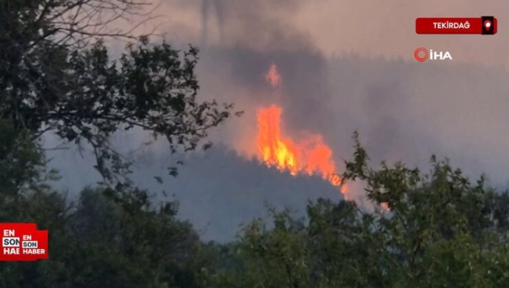 Tekirdağ’da orman yangını havadan görüntülendi