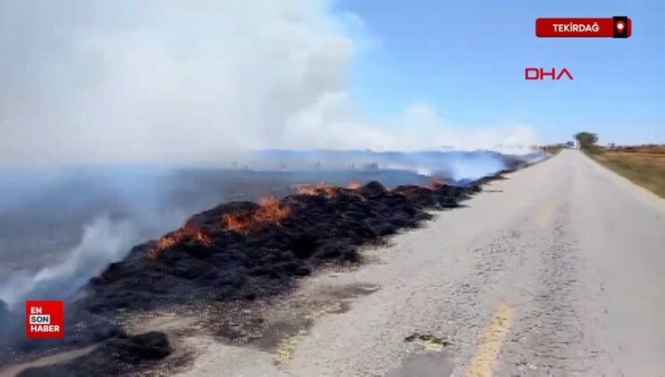 Tekirdağ’da saman yüklü römorkta çıkan yangın tarlaya sıçradı