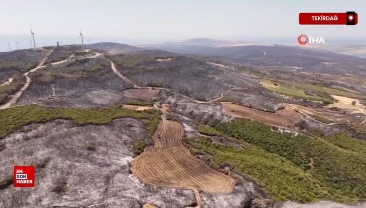 Tekirdağ’da yanan alanların öncesi ve sonrası yürek burktu