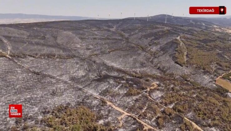Tekirdağ’da yangında tahribatın boyutu havadan görüntülendi: Dev alanlar kül oldu