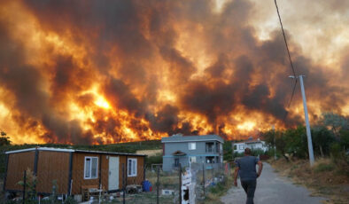 Tekirdağ’daki orman yangını besicileri mağdur etti