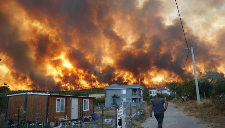 Tekirdağ’daki orman yangını besicileri mağdur etti