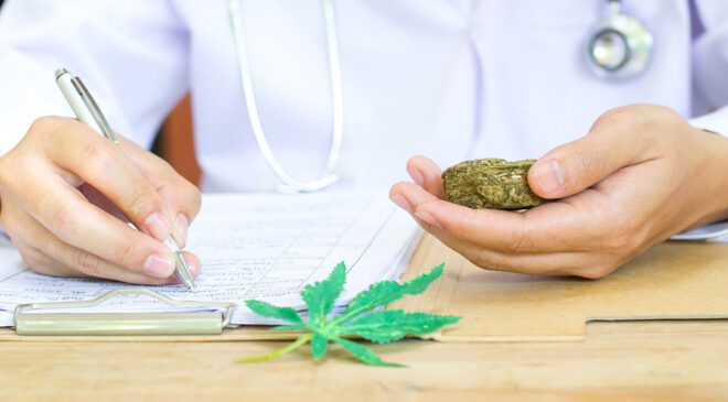 Tıbbı kenevir ne işe fayda, reçeteli mi? Tıbbı kenevirin yararları