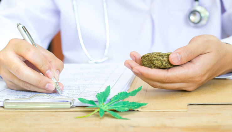 Tıbbı kenevir ne işe fayda, reçeteli mi? Tıbbı kenevirin yararları