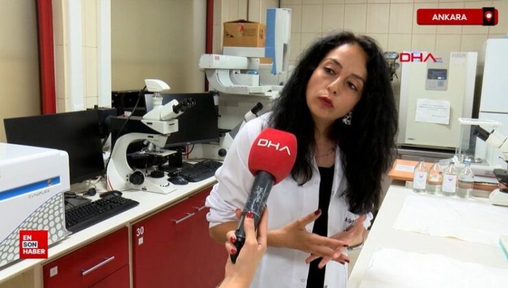 Tıbbi kenevirin eczanelerde satışı yakında mümkün olacak