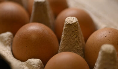 Ticaret Bakanlığı: Sofralık yumurta ihracatında uygulanan fon kesintisi kaldırıldı