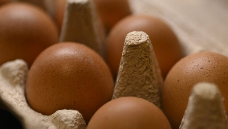 Ticaret Bakanlığı: Sofralık yumurta ihracatında uygulanan fon kesintisi kaldırıldı