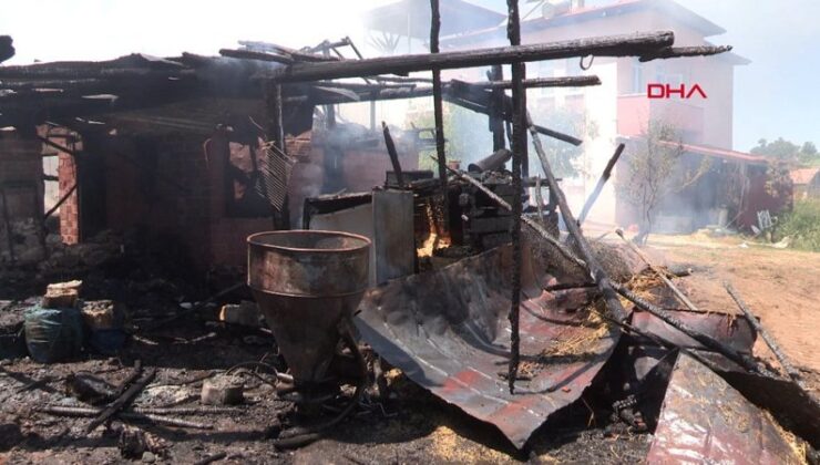Tokat’ta yangında tonlarca buğday yandı, 7 büyükbaş öldü