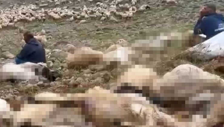 Tunceli’de yıldırım düşmesi: 200 koyun telef oldu