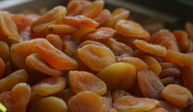 Türkiye’den 6 ayda 151 milyon dolarlık kuru kayısı ihraç edildi