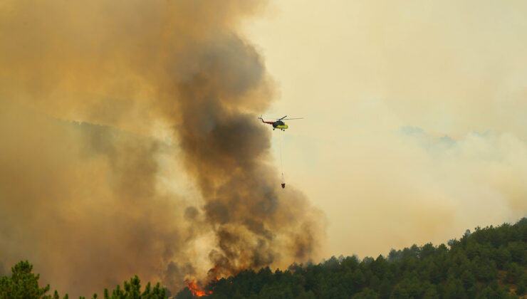 Uşak’ta ormanlık alanda yangın: Müdahale sürüyor