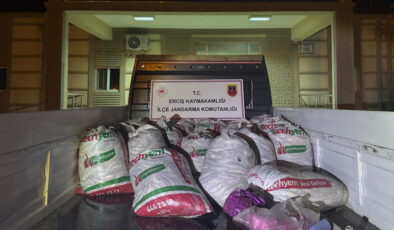 Van Gölü’nde kaçak avcılığa geçit yok