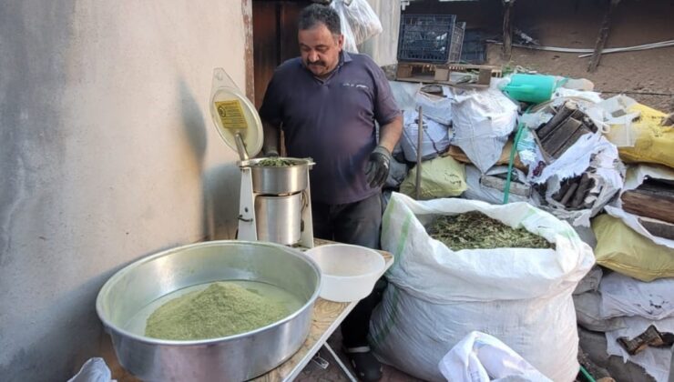 Yalnızca Erzincan’da bulunan Zetrin baharatının yararları saymakla bitmiyor