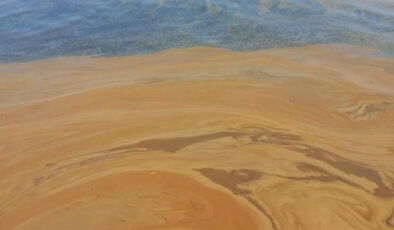 Yalova’da denize atık yağ döküldü: Fabrika hakkında inceleme başlatıldı