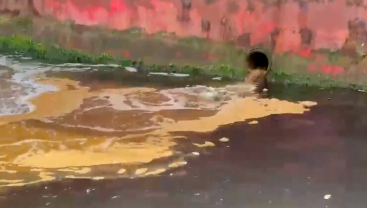 Yalova’da Marmara Denizi’ni kirleten tersaneye 3,7 milyon lira ceza