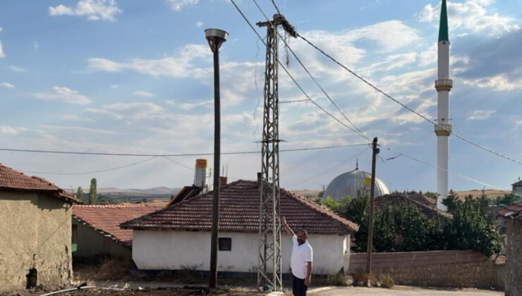 Yozgat’ta bir köyün simgesi olan 20 yıllık leylek yuvası yine inşa edildi