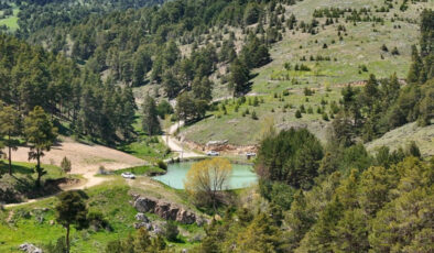 Yozgat’ta ormanlık alanlara giriş yasaklandı