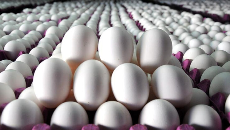 Yumurta israfının önlenmesine yönelik yeni düzenleme