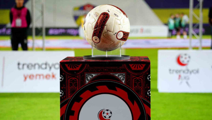 1. Lig’in en tecrübelisi Sakaryaspor, en yenileri Vanspor FK ile Serik Belediyespor