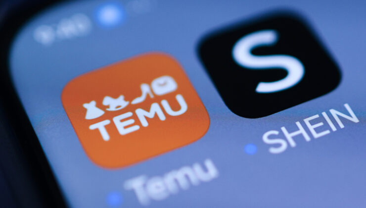 AB, Temu’yu suçladı: Yasa dışı eserle uğraş etmiyor