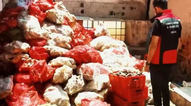 Adana’da binlerce kilo paça ele geçirildi