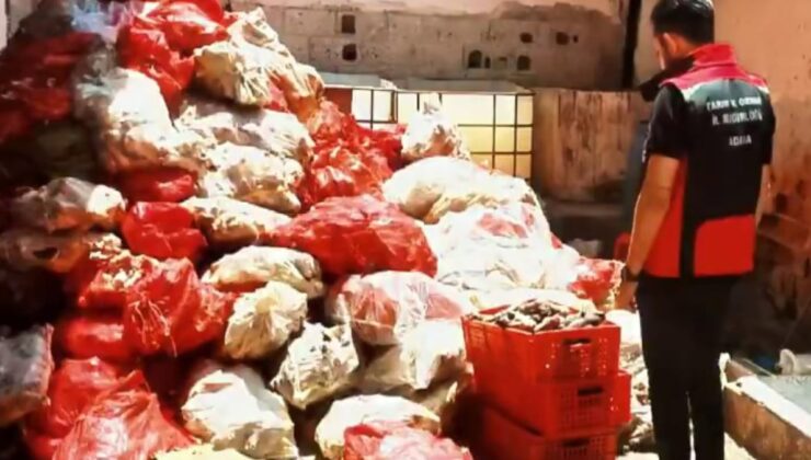 Adana’da binlerce kilo paça ele geçirildi
