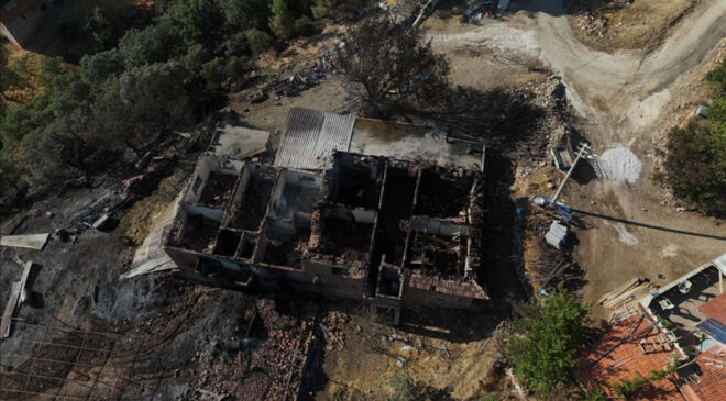 Ali Yerlikaya, 13 vilayetteki orman yangınlarının hasarını ve yapılan takviyesi duyurdu