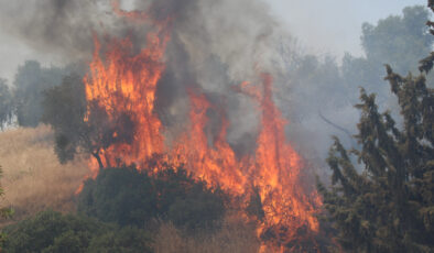 Aydın’da havaya ateş açtılar: Kuru otların tutuşmasıyla yangın çıktı