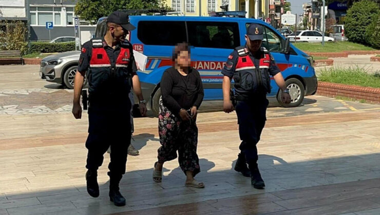 Aydın’da kayınpederiyle tartışıp, araziyi ateşe verdi