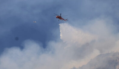 Aydın’da orman yangını ile uğraş sürüyor