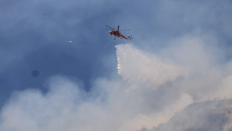 Aydın’da orman yangını ile uğraş sürüyor