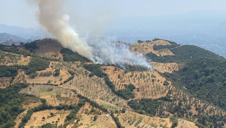 Aydın’da ziraat alanında yangın