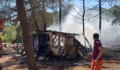Balıkesir’de çamlık alanda yangın paniği