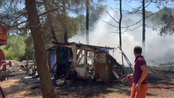 Balıkesir’de çamlık alanda yangın paniği