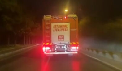 Beykoz’da ormanlık alanda yangın