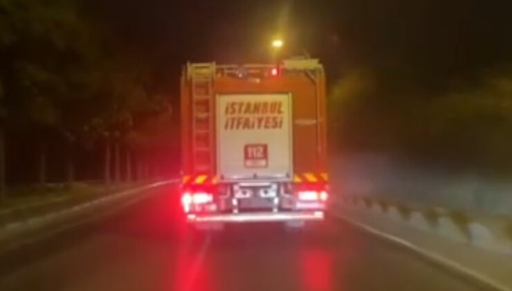 Beykoz’da ormanlık alanda yangın