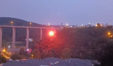 Beykoz’daki yangını çıkaran şahıs yakalandı: Eğlenmek için fişek attım