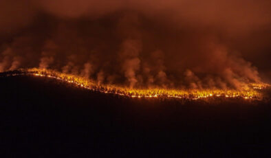 Bursa Harmancık’taki orman yangınına aktif müdahale sürüyor
