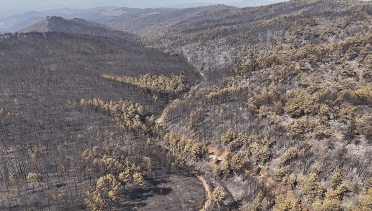 Bursa Orhaneli-Harmancık sınırındaki yangına müdahale ediliyor