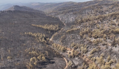 Bursa’da 10 bin futbol alanı kadar orman kül oldu