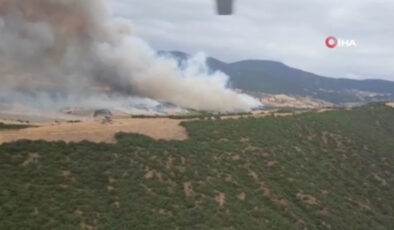 Bursa’da ormanlık alanda yangın çıktı